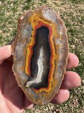 Beautiful imperial kentucky for sale  Louisville