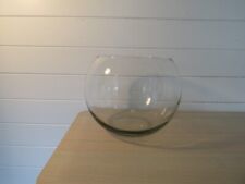 Large 31cm goldfish for sale  BODMIN