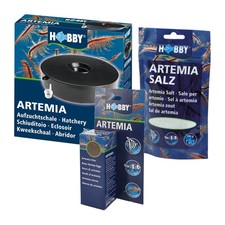 Set zur artemia gebraucht kaufen  Dachau