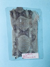 Vtg snake skin for sale  RICHMOND