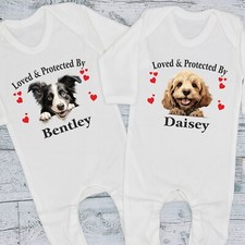 Loved protected dog for sale  WELLING