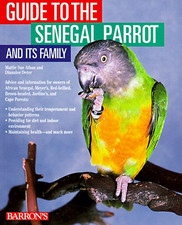 Guide senegal parrot for sale  ROSSENDALE