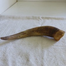 Unpolished cattle cow for sale  La Habra