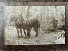 Man horses hauling for sale  Fergus Falls