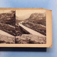 Stereoview card c1865 for sale  TELFORD