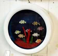 Acquario pesci colorati usato  Zoagli