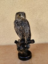 Trofeo caccia esemplare usato  Orsago