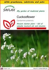 Saflax anzuchtset kuckuckblume gebraucht kaufen  Münster
