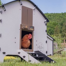 Plastic chicken coop for sale  NEWTON ABBOT
