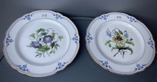 Paire assiettes porcelaine d'occasion  Maubeuge
