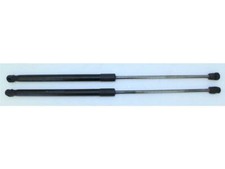 Set pistoncini ammortizzatori usato  Torre del Greco