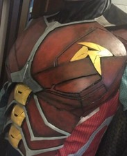 Cosplay robin usato  Vimodrone