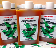Sedochol 100ml concentrate for sale  CHESTERFIELD