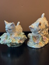 Iridescent cats kittens for sale  Streator