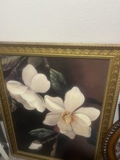 Two magnolias flower for sale  Tyler