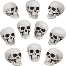 Pezzi teschi halloween usato  Roma