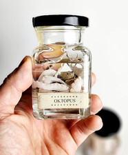 Ktopus tierpräparat taxidermi gebraucht kaufen  Halle