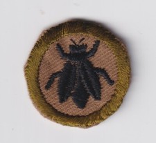Insignia de mérito Boy Scout Bee Keeping adolescentes 1910-1920 (52) segunda mano  Embacar hacia Mexico