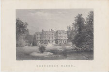 19th century print for sale  HONITON