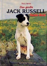 Große jack russell gebraucht kaufen  Stuttgart