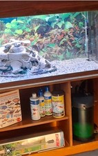 Ehiem tank 4ft for sale  LONDON