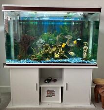 Complete tropical fish for sale  POULTON-LE-FYLDE