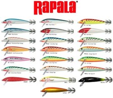 Totanara rapala squid usato  Vibo Valentia