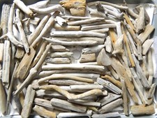 100 driftwood pieces for sale  GRAVESEND