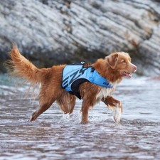 Ezydog dfd boost gebraucht kaufen  Berlin