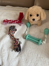 Hundespielzeug set 4 gebraucht kaufen  Braunschweig