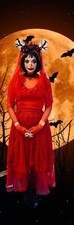 Kostüm damen halloween gebraucht kaufen  Velbert