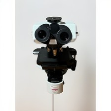 Olympus bx41tf microscope for sale  Charlotte