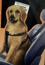 Aspen pet canine for sale  Earlham