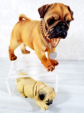 Pug dog puppy for sale  Nobleton