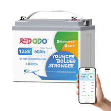 Redodo 12v 50ah gebraucht kaufen  Neuss
