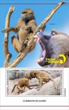 2023 guinea guinean d'occasion  Brunoy