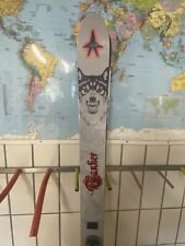Ski kneissl powder gebraucht kaufen  Raubling