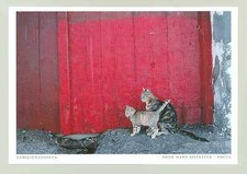 Katze familienausflug 5 gebraucht kaufen  Menden (Sauerland)