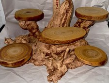 Resin root shaped for sale  Myersville