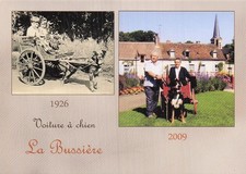 The bussiere dog d'occasion  Expédié en Belgium