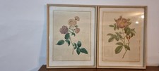 Antique lithographs large for sale  FORDINGBRIDGE