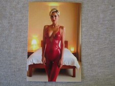 Stunning short haired for sale  Kingston