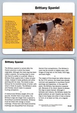 Brittany spaniel 116.20 for sale  SLEAFORD