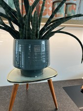 50s riginal blumenhocker gebraucht kaufen  Vilsbiburg