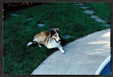 Vintage photograph gorgeous for sale  Greeley