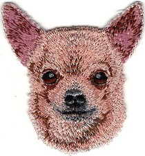 Tan chihuahua head d'occasion  Expédié en Belgium