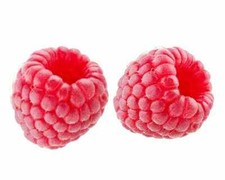 Himbeere rubus idaeus gebraucht kaufen  Wurzen