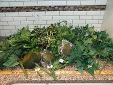 Bunches stems plants for sale  Carlisle