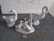 Nao family geese for sale  POOLE