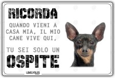 Cartello cane pinscher usato  Vertemate con Minoprio